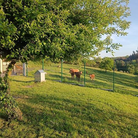Bed and Breakfast Casa Isaura De Pena Camino Primitivo Pacio Zewnętrze zdjęcie